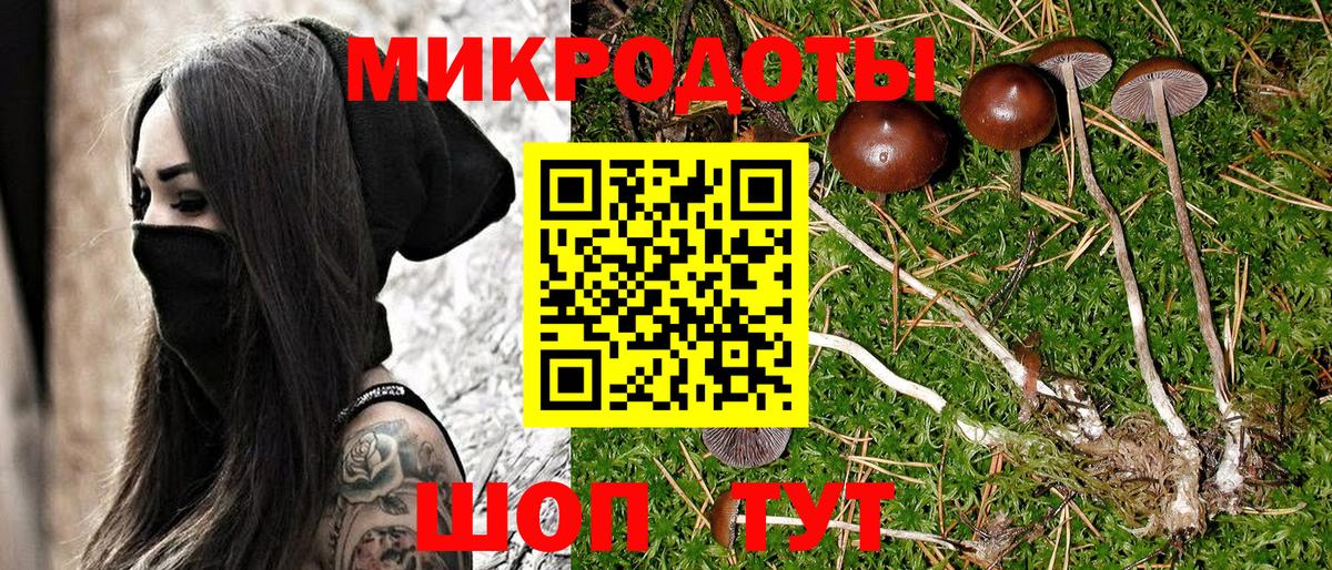 Галлюциногенные грибы ЛСД  Люберцы  Псилоцибиновые грибы прущие грибы 