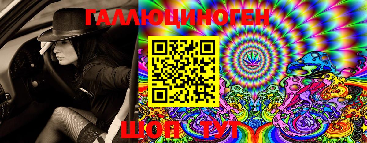 Галлюциногенные грибы Psilocybine cubensis Люберцы